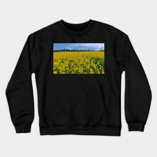 Rapeseed field Crewneck Sweatshirt